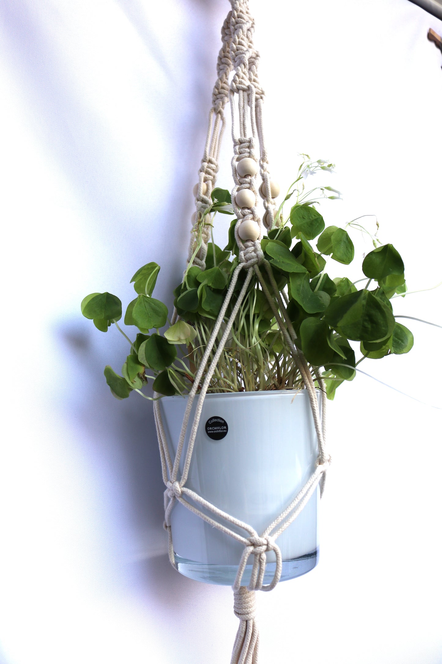 Suspension plante macramé corde fait main